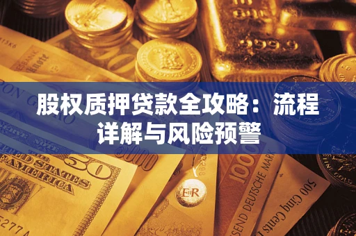 武汉股权质押贷款全攻略：流程详解与风险预警