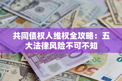 武汉共同债权人维权全攻略：五大法律风险不可不知