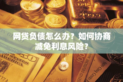 武汉网贷负债怎么办？如何协商减免利息风险？