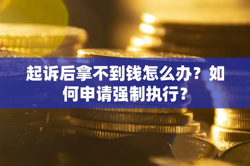 武汉起诉后拿不到钱怎么办？如何申请强制执行？