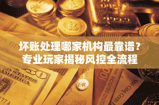 武汉坏账处理哪家机构最靠谱？专业玩家揭秘风控全流程