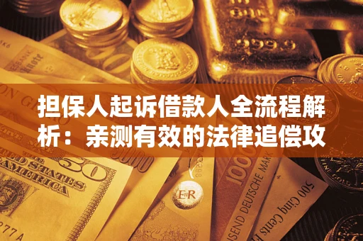 武汉担保人起诉借款人全流程解析：亲测有效的法律追偿攻略