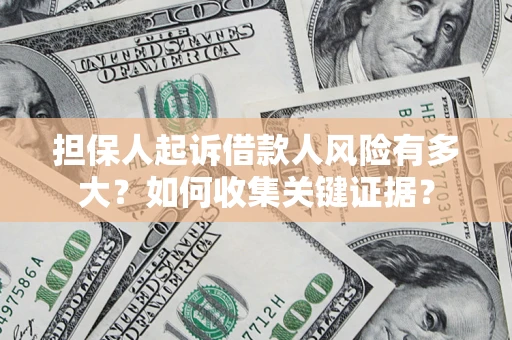 武汉担保人起诉借款人风险有多大？如何收集关键证据？