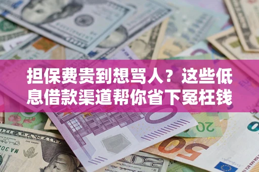 武汉担保费贵到想骂人？这些低息借款渠道帮你省下冤枉钱