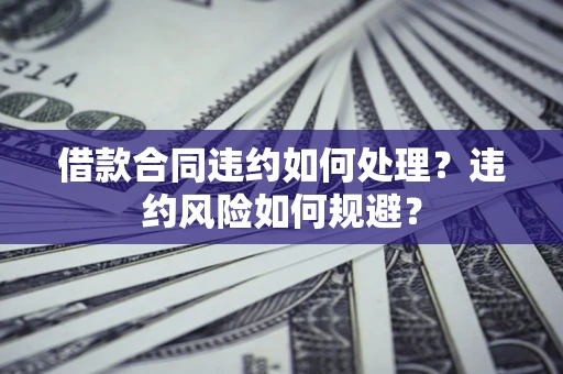 武汉借款合同违约如何处理？违约风险如何规避？