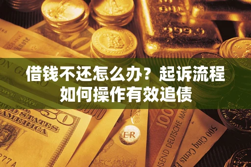 武汉借钱不还怎么办？起诉流程如何操作有效追债