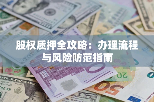 武汉股权质押全攻略：办理流程与风险防范指南